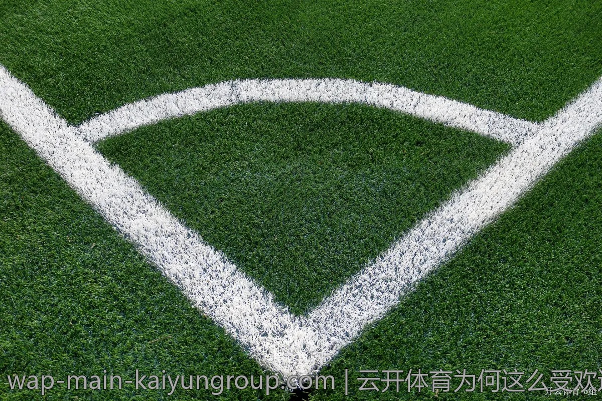 云开体育为何这么受欢迎？用户真实反馈大揭秘
