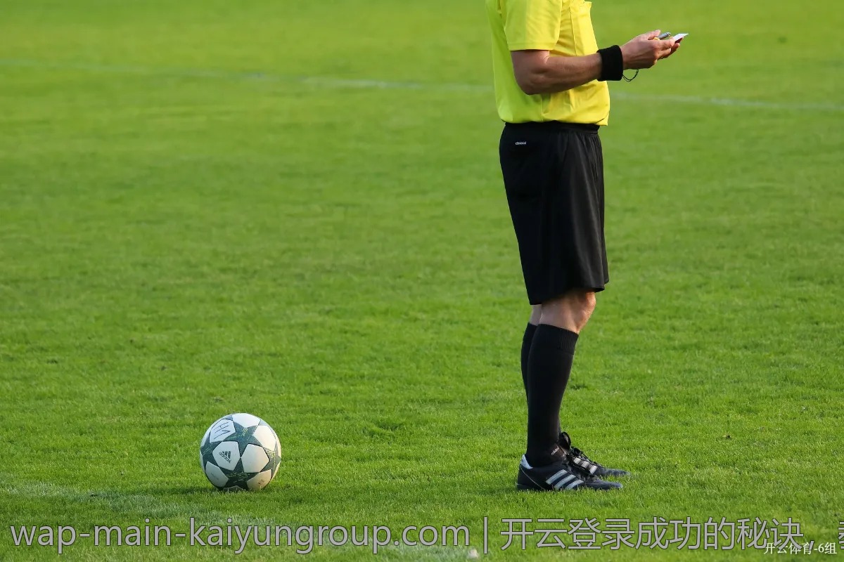 开云登录成功的秘诀，教你轻松应对复杂流程